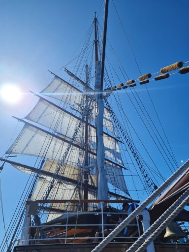 Sea cloud 